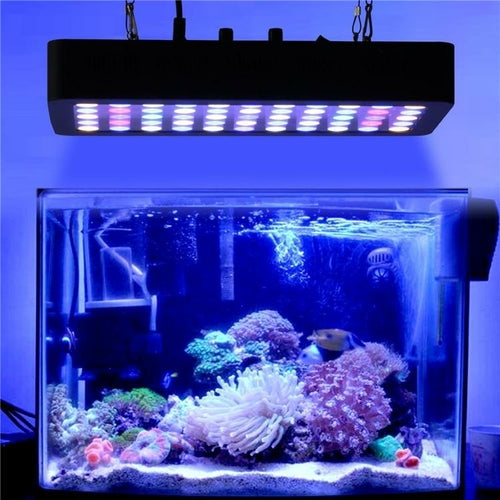 LED Fish Tank Coral